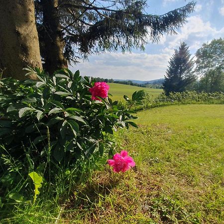 Ferienhaus Beerberg Suhl Buitenkant foto