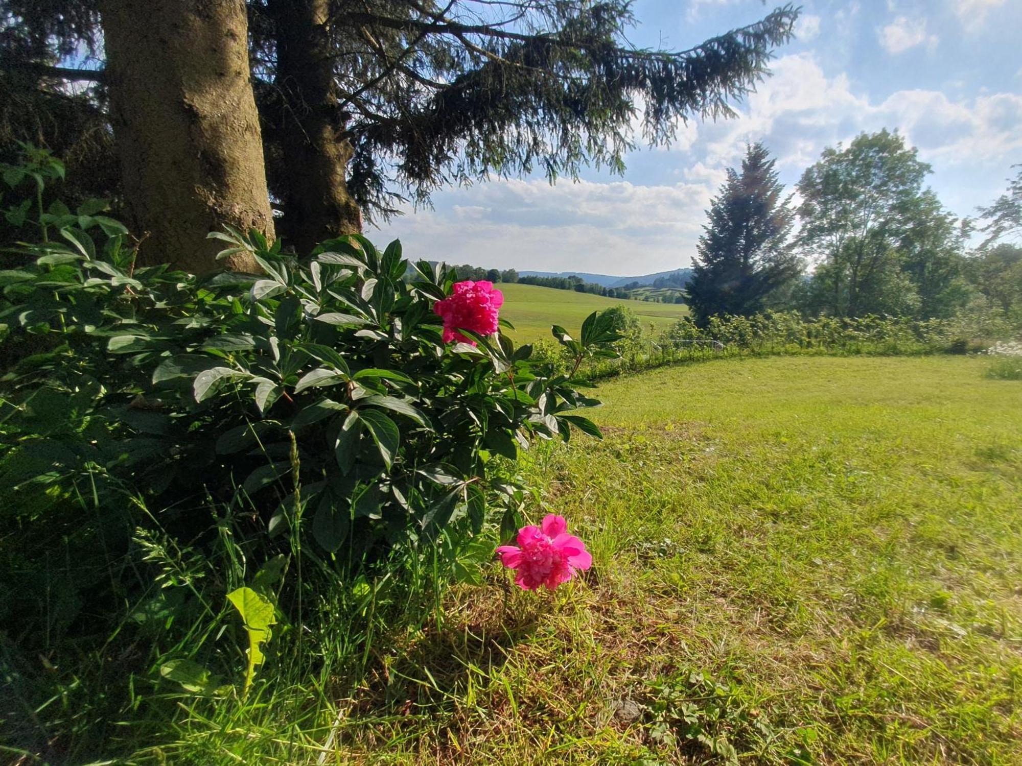 Ferienhaus Beerberg Suhl Buitenkant foto